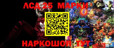 ГАЛЛЮЦИНОГЕННЫЕ ГРИБЫ Можга