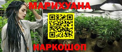 стаф Моздок