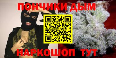 стаф Моздок